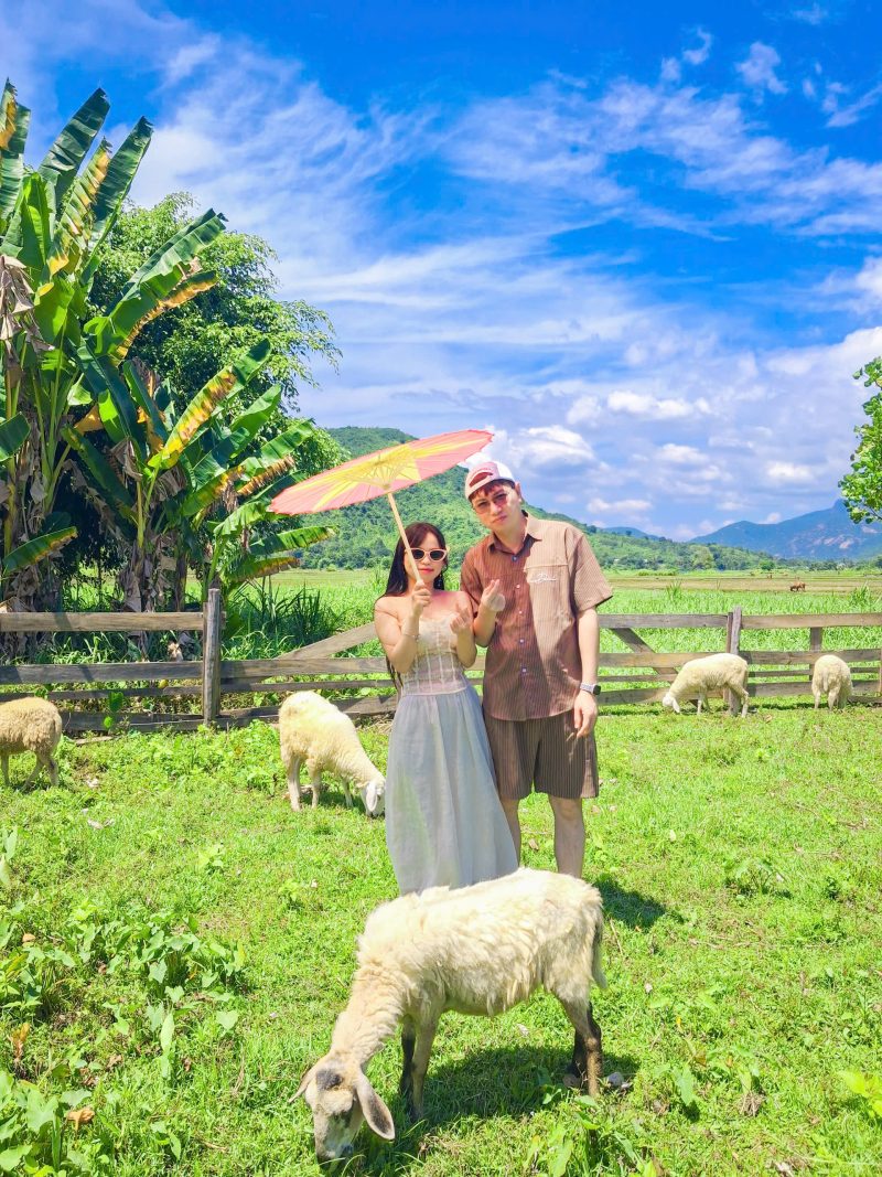 Điểm đầu tiên là đến Đồng Cừu