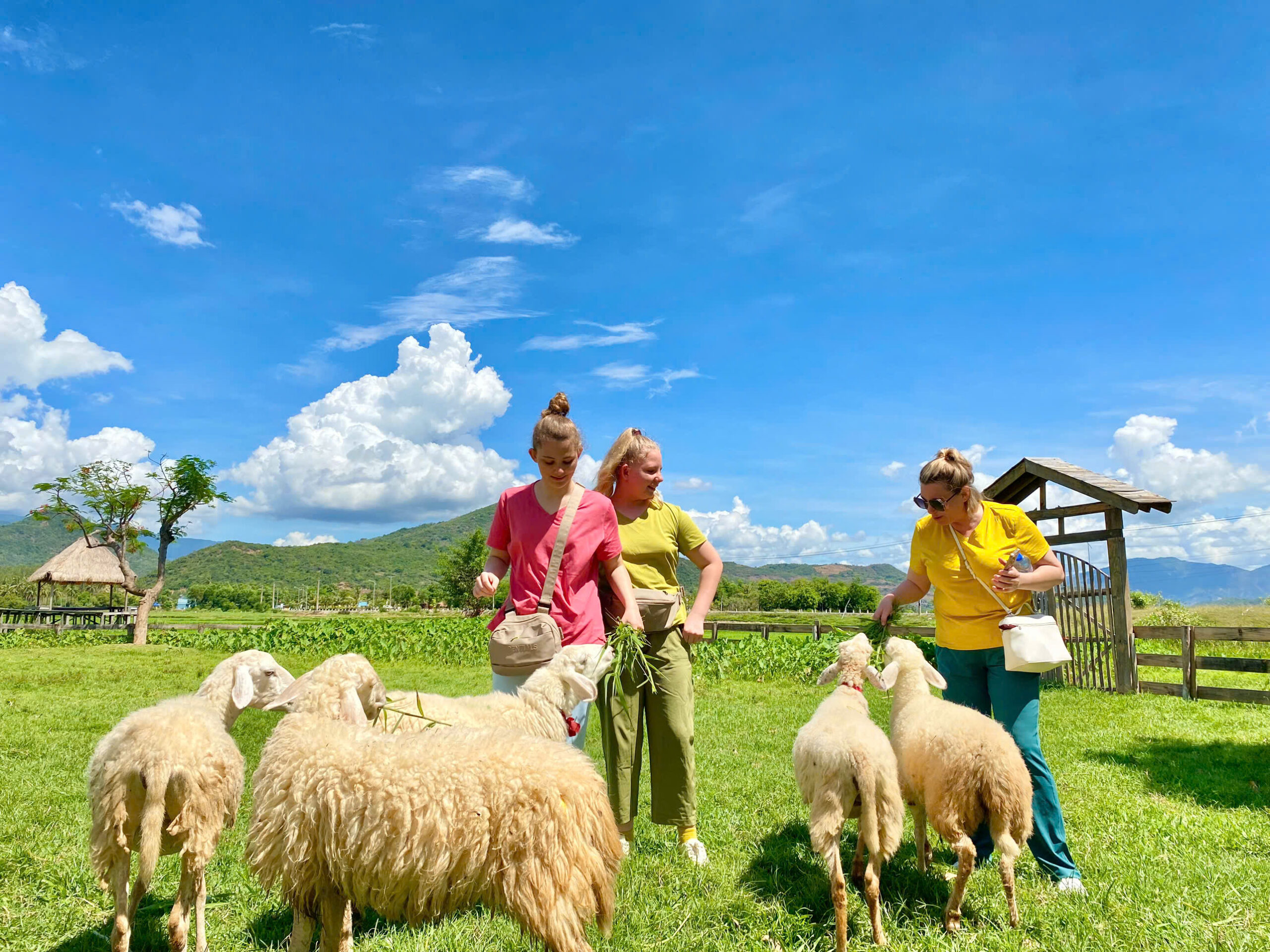 Top 3 Tour Hè Nha Trang Nhất Định Phải Đi Cùng Gia Đình