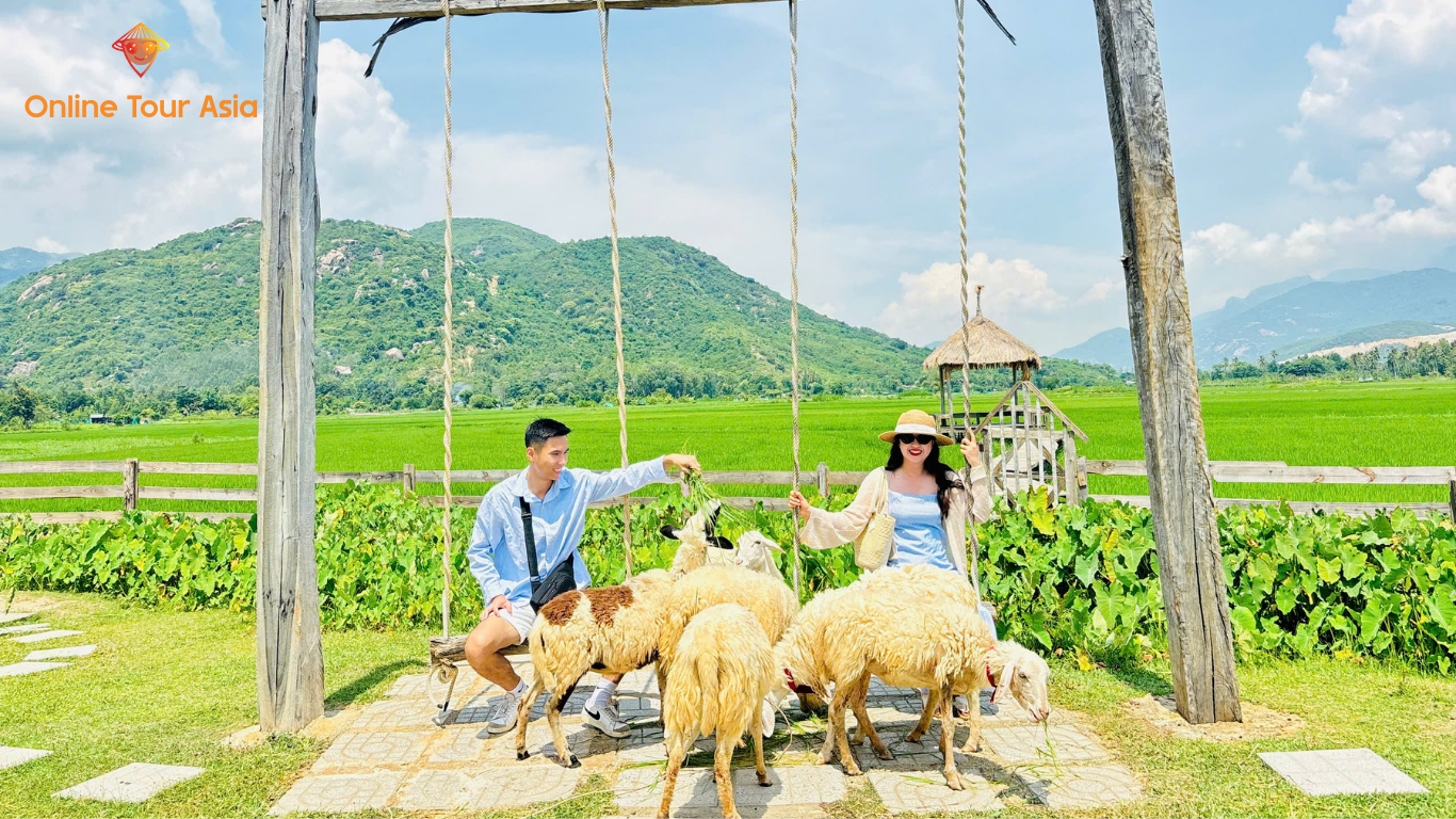Tour Đồng Cừu Suối Tiên Chỉ Với 550k Có Gì Hấp Dẫn?