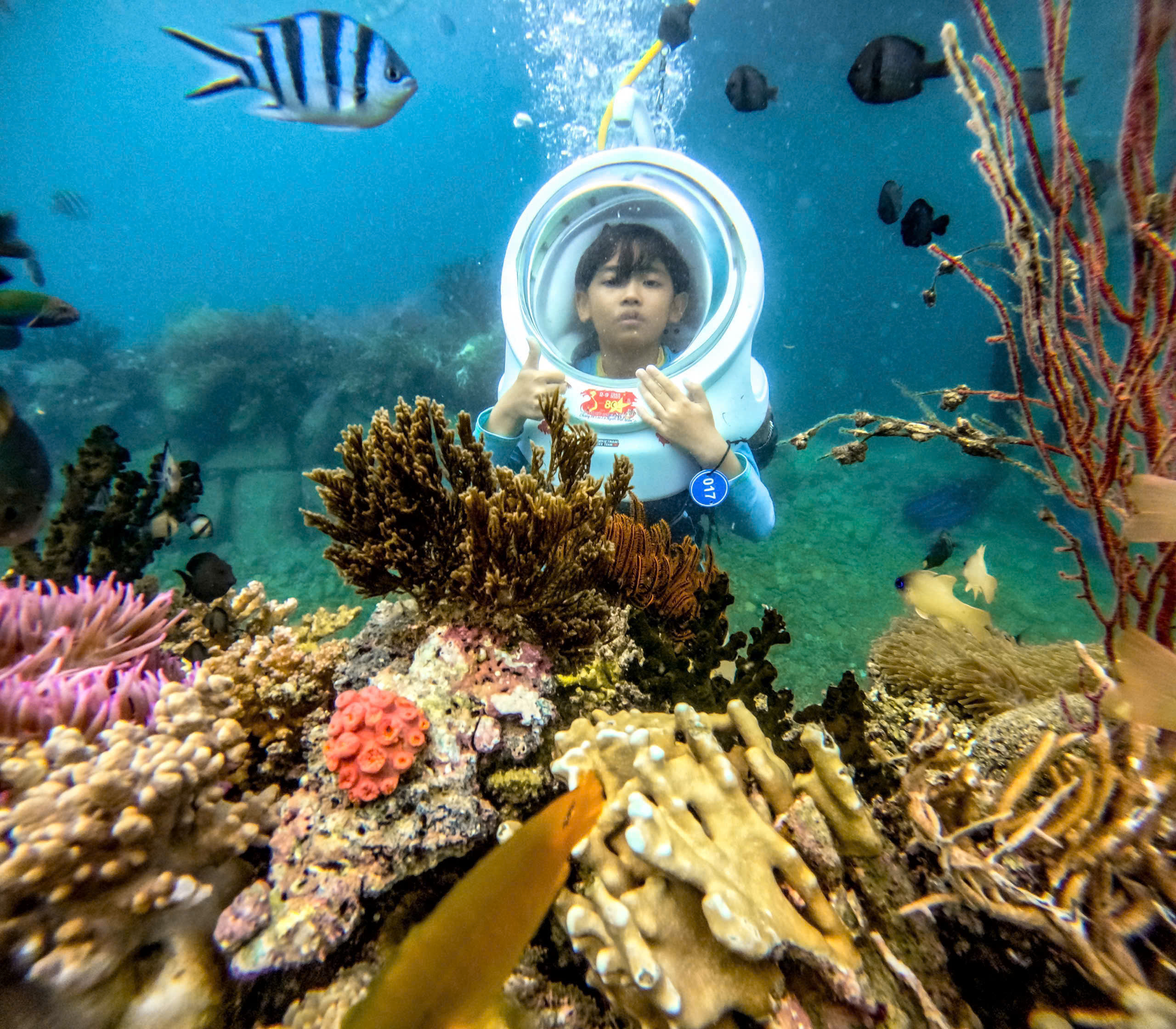 Tour Câu Cá Nha Trang Bằng Tàu Gỗ - Ảnh 9