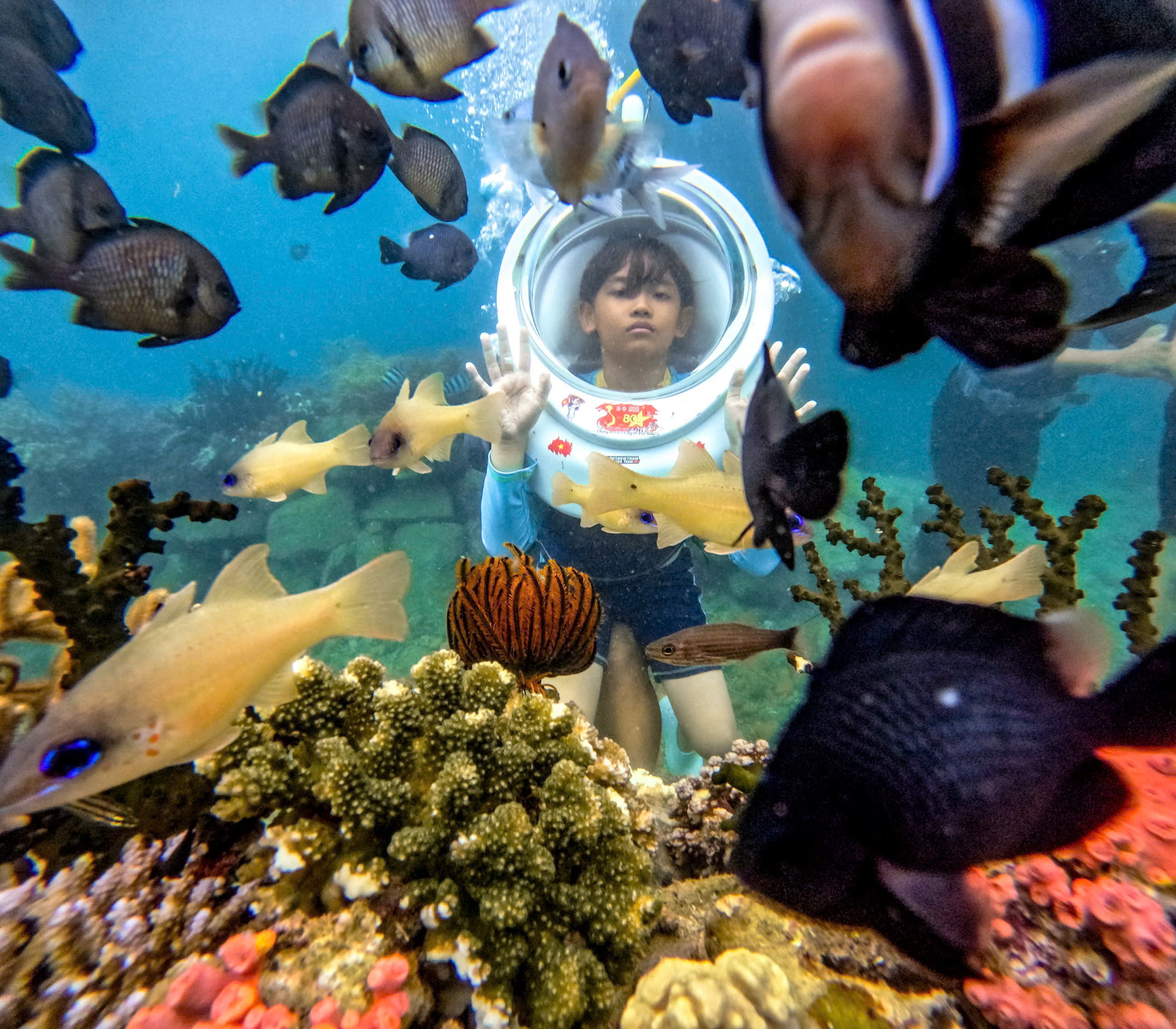 Lặn biển tại Hòn Mun