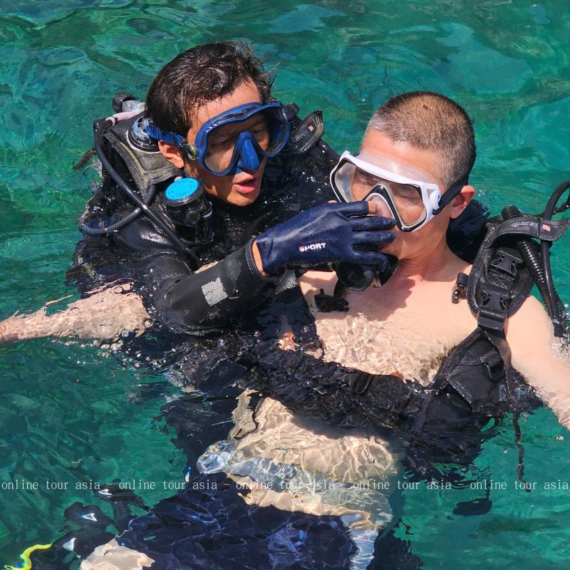 (Lưu ý: Nếu bạn quá đam mê và muốn lặn thêm lần thứ 2, sẽ có phụ thu phí dịch vụ tại chỗ.) Vào lúc 11h00, đoàn di chuyển đến khu vực Hòn Mun. Sau khi hoàn thành ca lặn bình khí, quý khách có thời gian tự do tại khu bảo tồn biển quan trọng này: Bơi lội và Tắm biển: Tận hưởng làn nước trong xanh. Ngắm San Hô (Snorkeling): Sử dụng mắt kính và ống thở được cung cấp để bơi trên mặt nước, ngắm nhìn đàn cá và hệ sinh thái san hô phong phú của Hòn Mun.