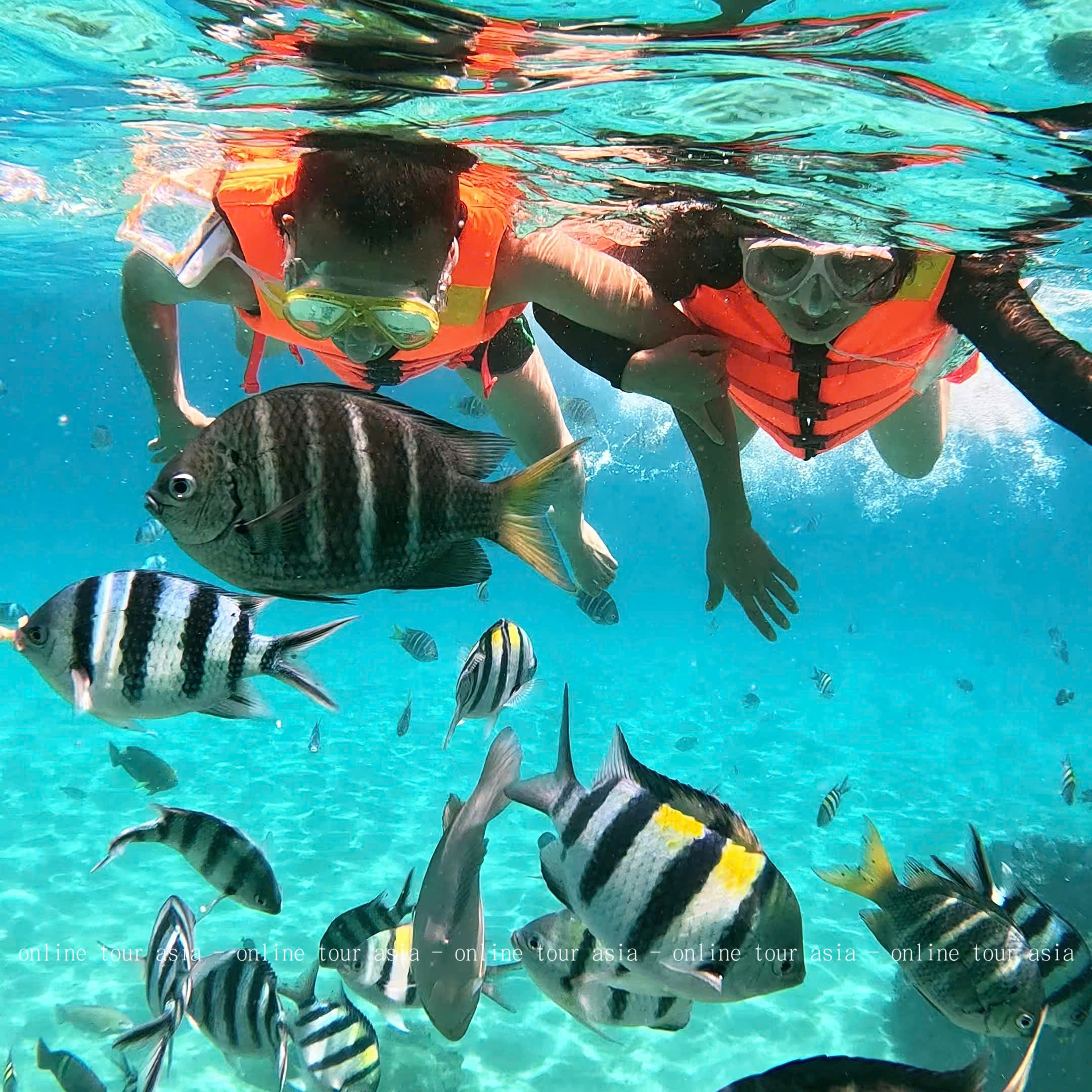 Tour ghép 3 đảo Nha Trang (Hòn Mun - Làng Chài - Mini Beach) - Ảnh 7