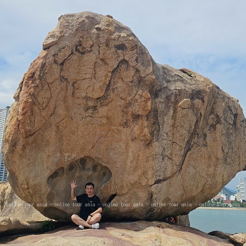 Khám Phá Tour City Nha Trang Nửa Ngày Về Văn Hóa Và Lịch Sử 