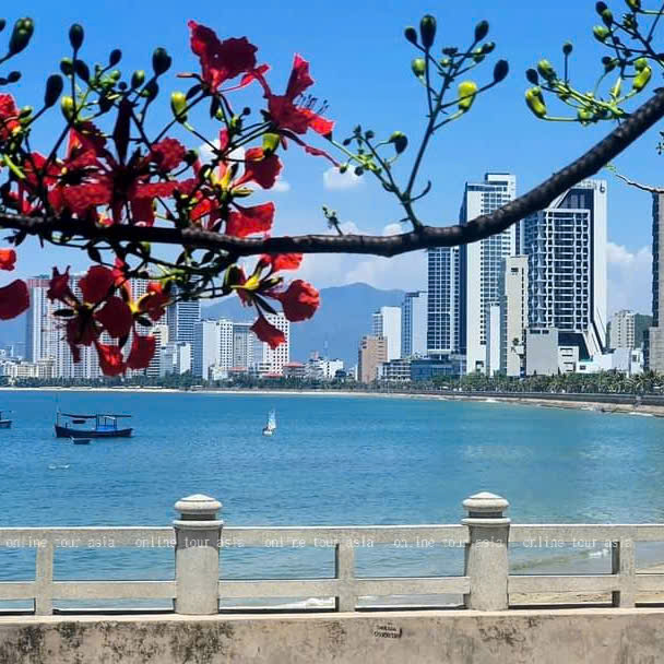 Khám Phá Tour City Nha Trang Nửa Ngày Về Văn Hóa Và Lịch Sử - Ảnh 12