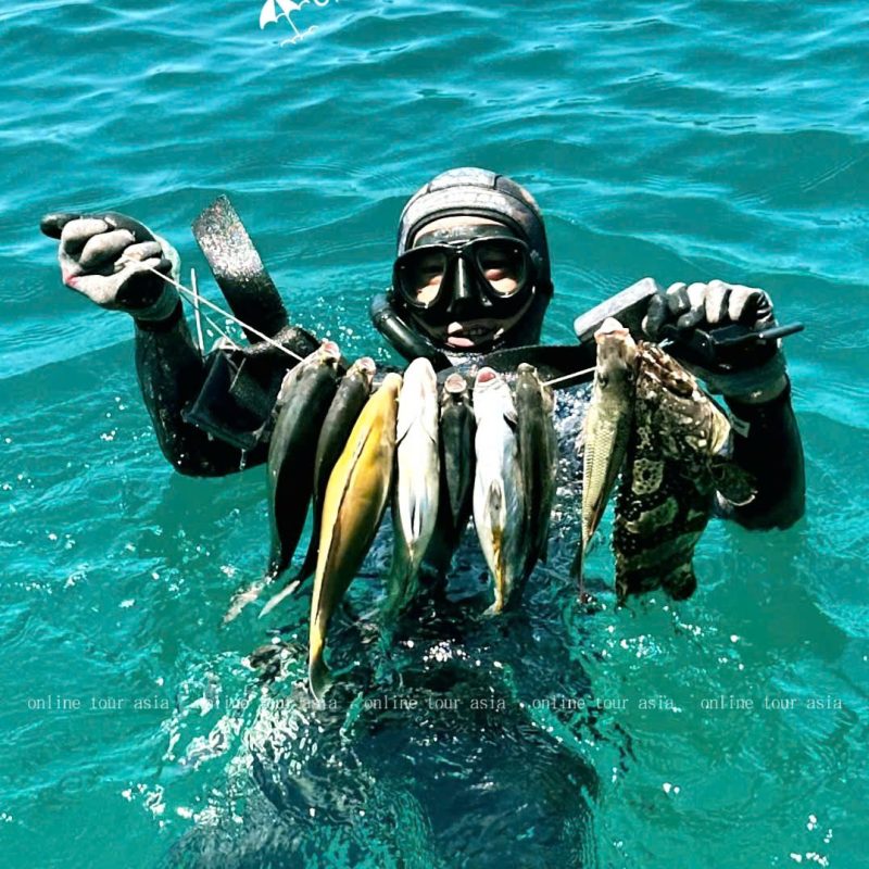 Trãi Nghiệm Tour Bắn Cá Bắt Nhum Tại Nha Trang