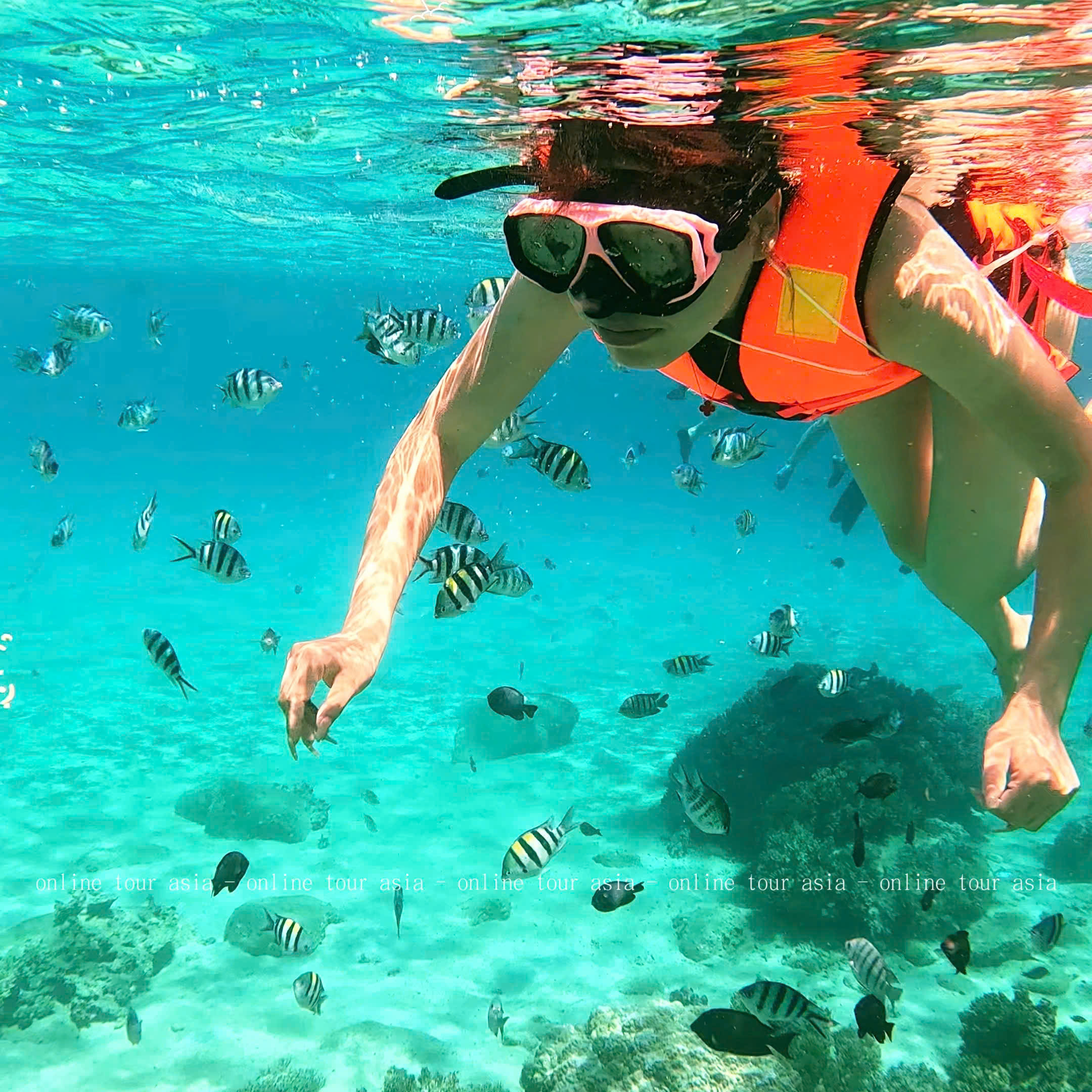 Tour Lặn Biển Nha Trang