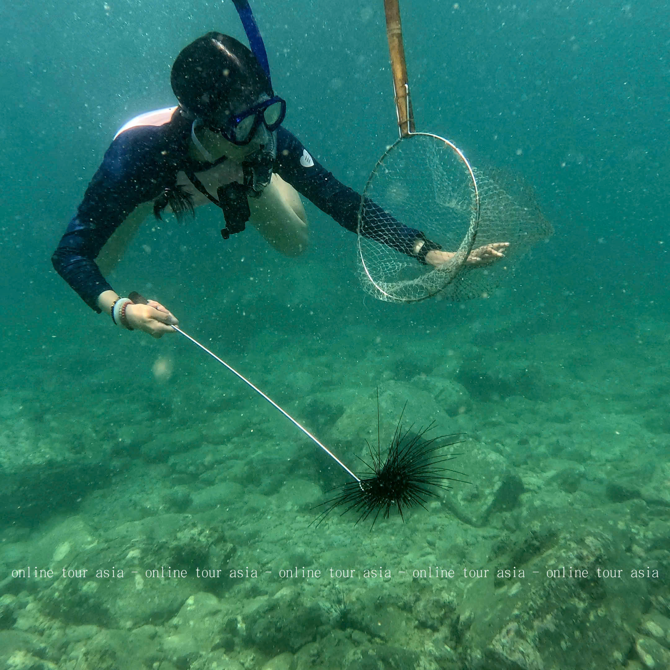 Trãi Nghiệm Tour Bắn Cá Bắt Nhum Tại Nha Trang - Ảnh 10