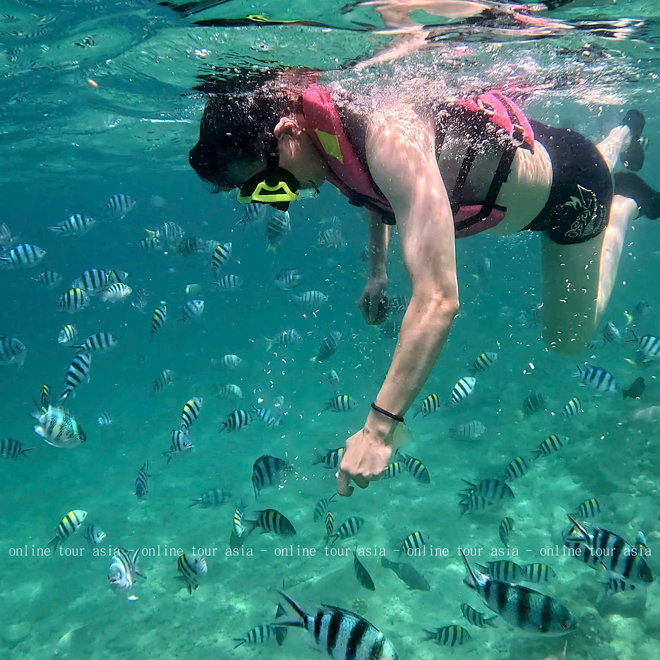 Trãi Nghiệm Tour Bắn Cá Bắt Nhum Tại Nha Trang - Ảnh 8