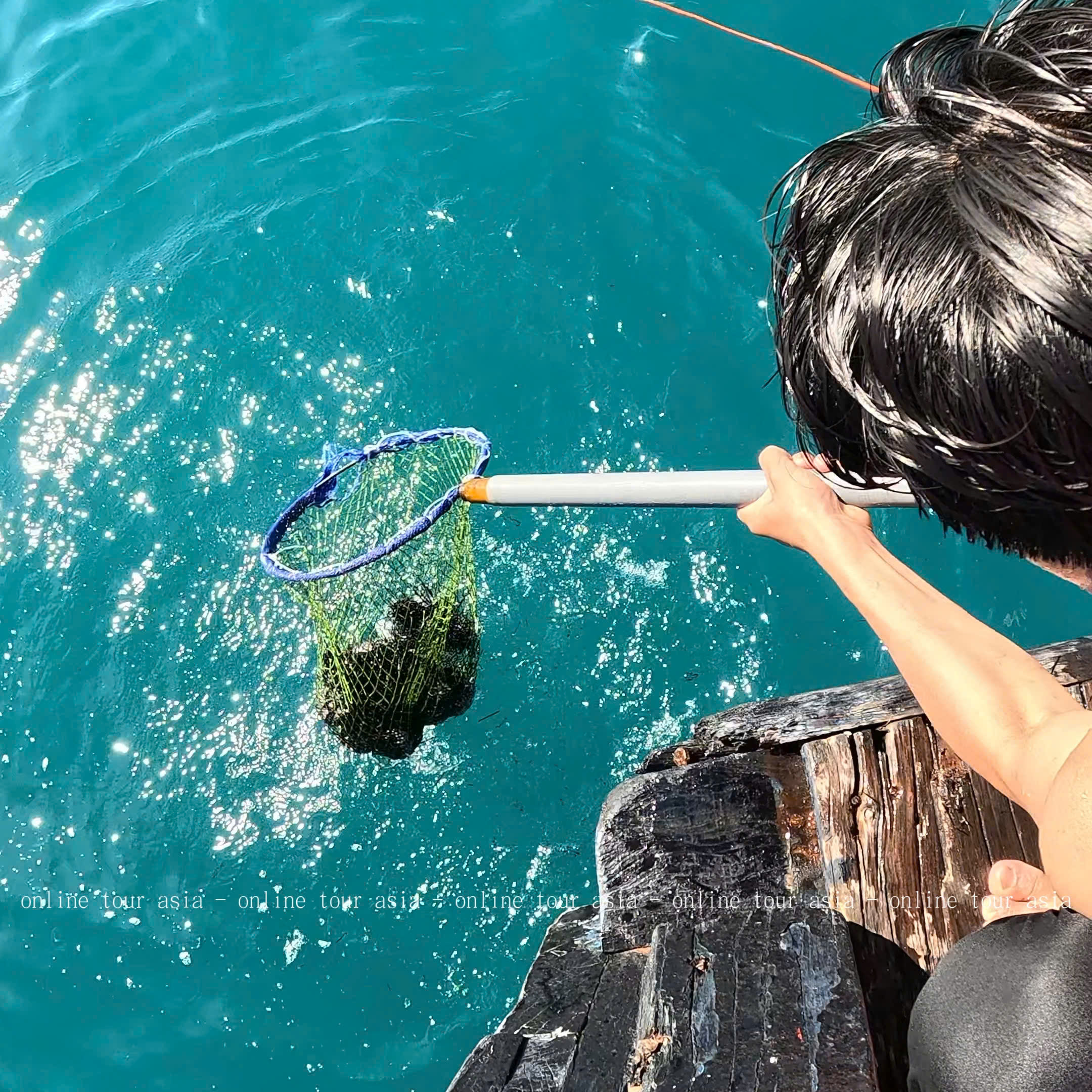 Tour Câu Cá, Bắt Nhum BBQ Tàu Gỗ Nha Trang VIP - Ảnh 6