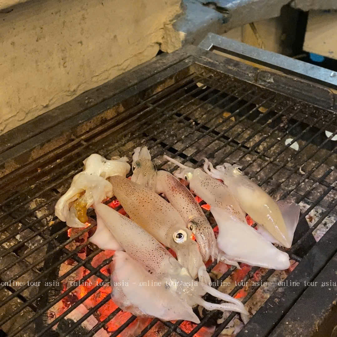 Tour Câu Mực Đêm Nha Trang Trọn Gói - Ảnh 7