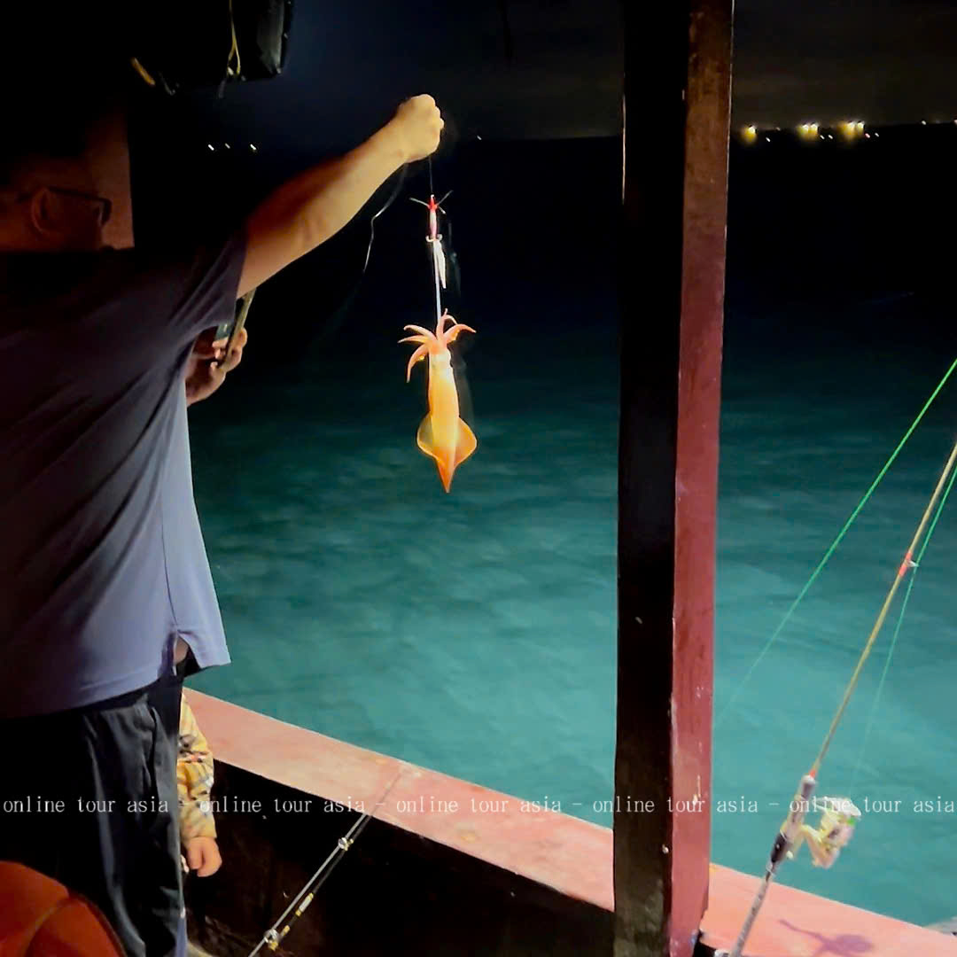Tour Câu Mực Đêm Nha Trang Trọn Gói - Ảnh 16