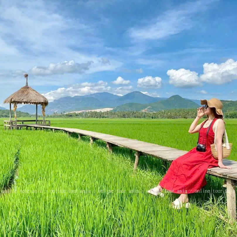 TOUR ĐỒNG CỪU - HÀNG RÁI - VĨNH HY 1 NGÀY - Ảnh 10