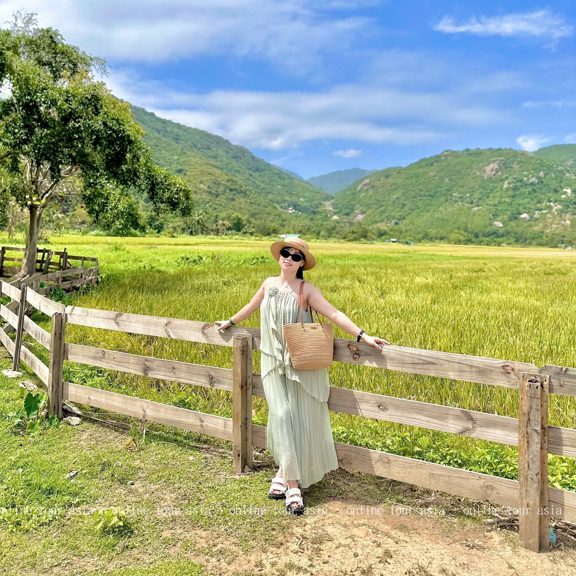 TOUR ĐỒNG CỪU - HÀNG RÁI - VĨNH HY 1 NGÀY - Ảnh 2