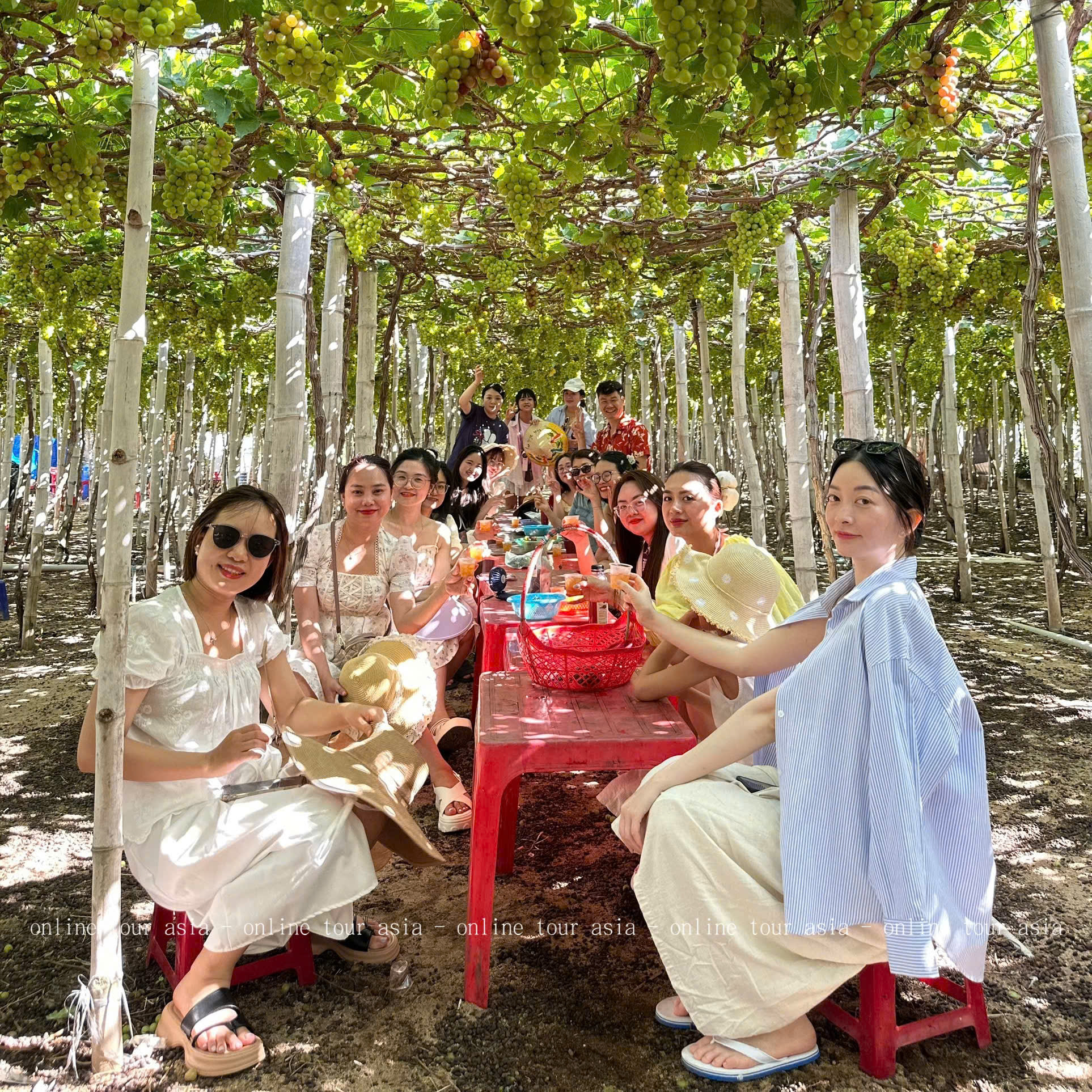 TOUR ĐỒNG CỪU - HÀNG RÁI - VĨNH HY 1 NGÀY - Ảnh 6