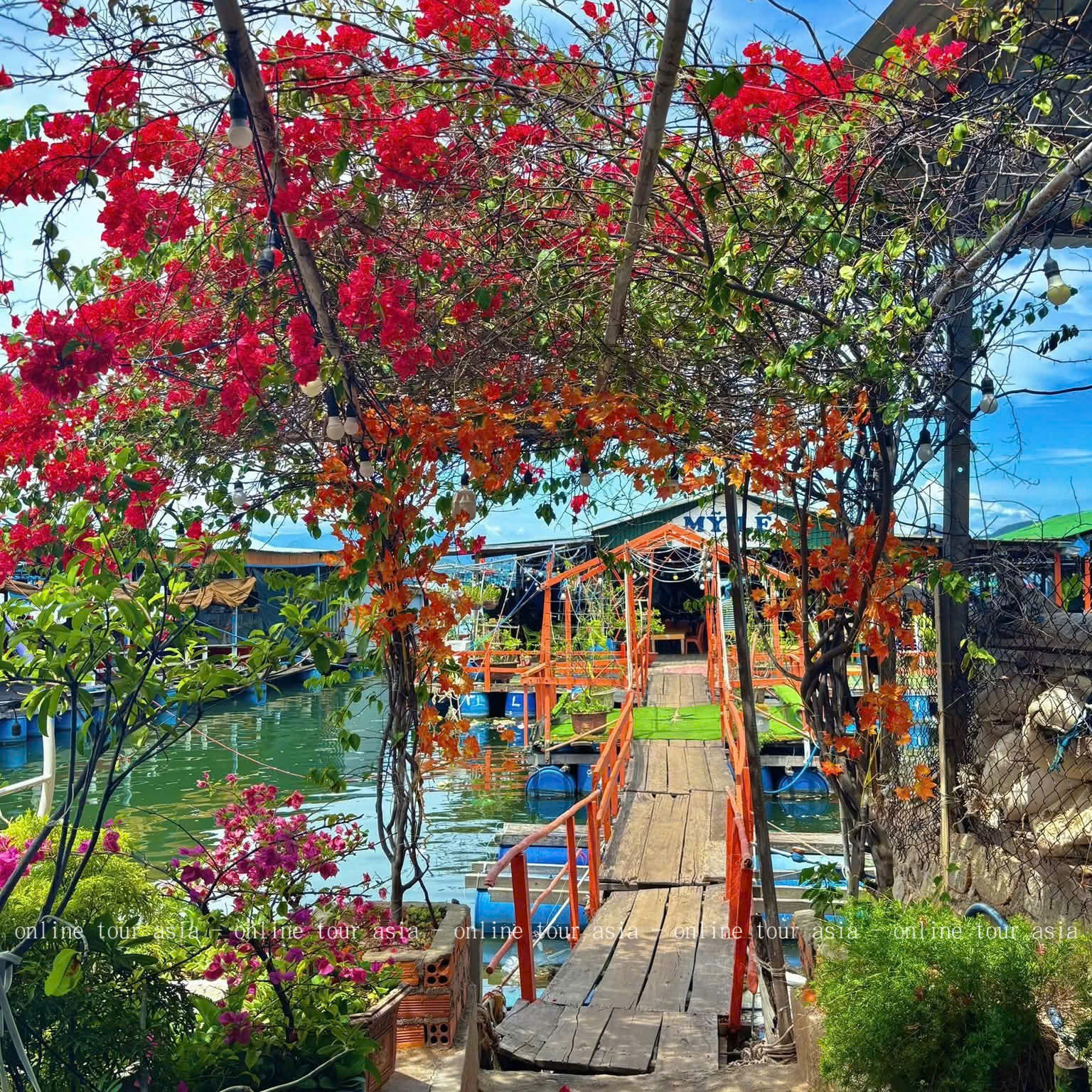 Tour Đảo Bình Ba Nha Trang Trong 1 Ngày - Ảnh 8