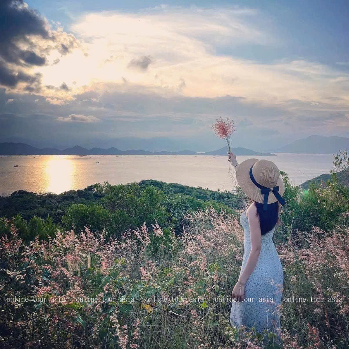 Tour Đảo Bình Ba Nha Trang Trong 1 Ngày - Ảnh 10