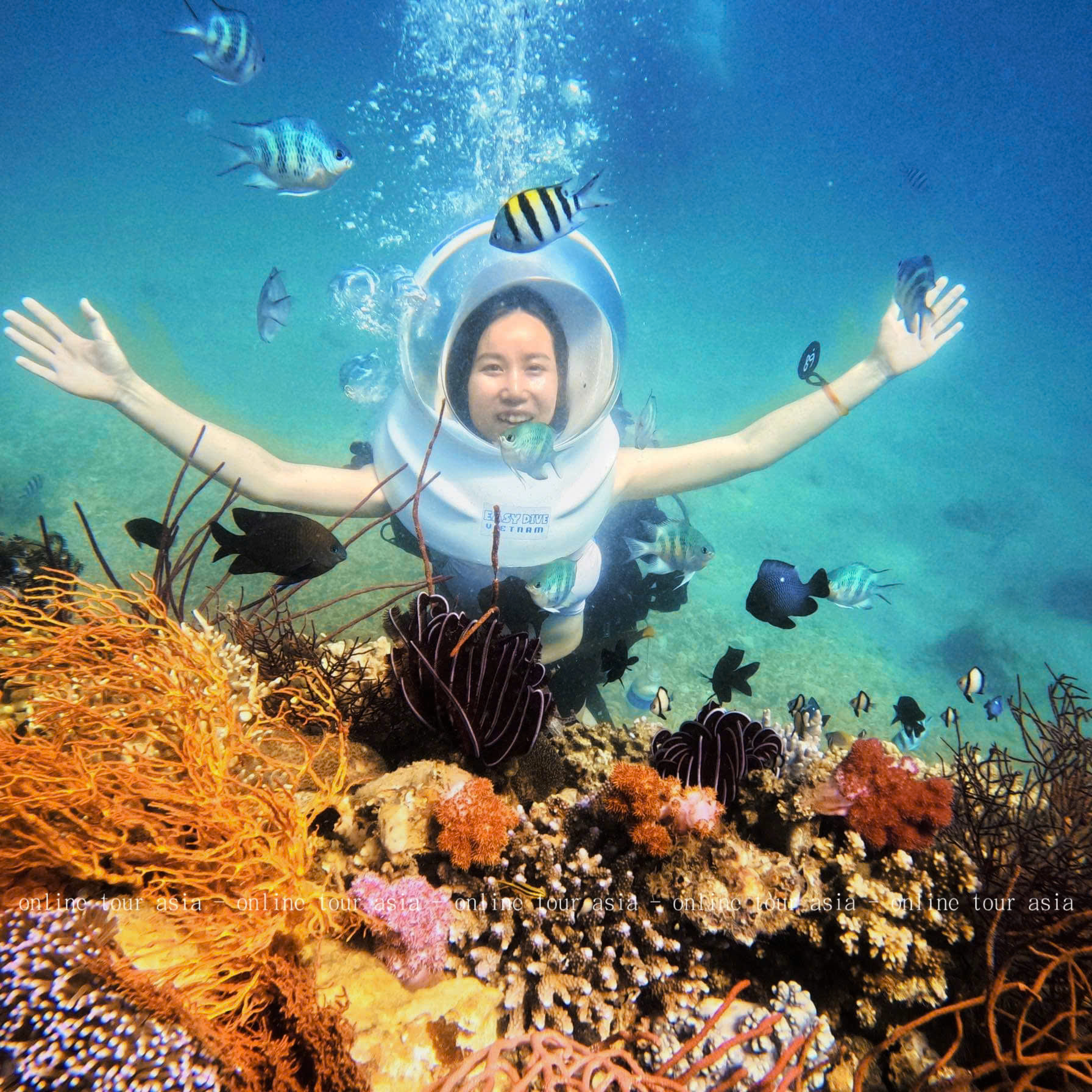 Tour Lặn Biển Nha Trang - Ảnh 3