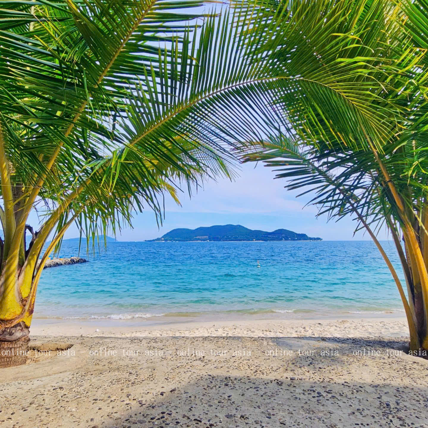 Tour Câu Cá Nha Trang Bằng Tàu Gỗ - Ảnh 17