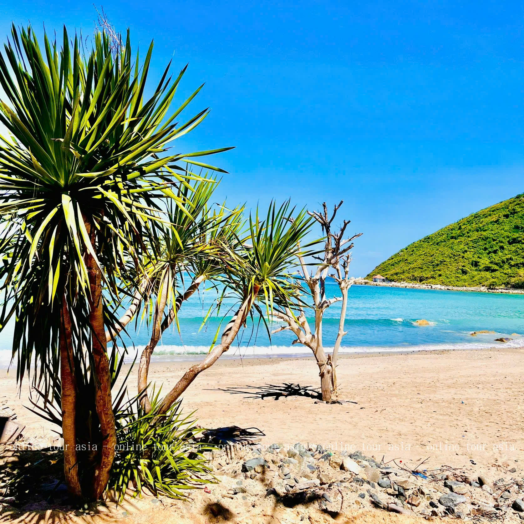 Tour Gành Nhảy Ninh Vân - Nhà Hát Đó Nha Trang - Ảnh 11