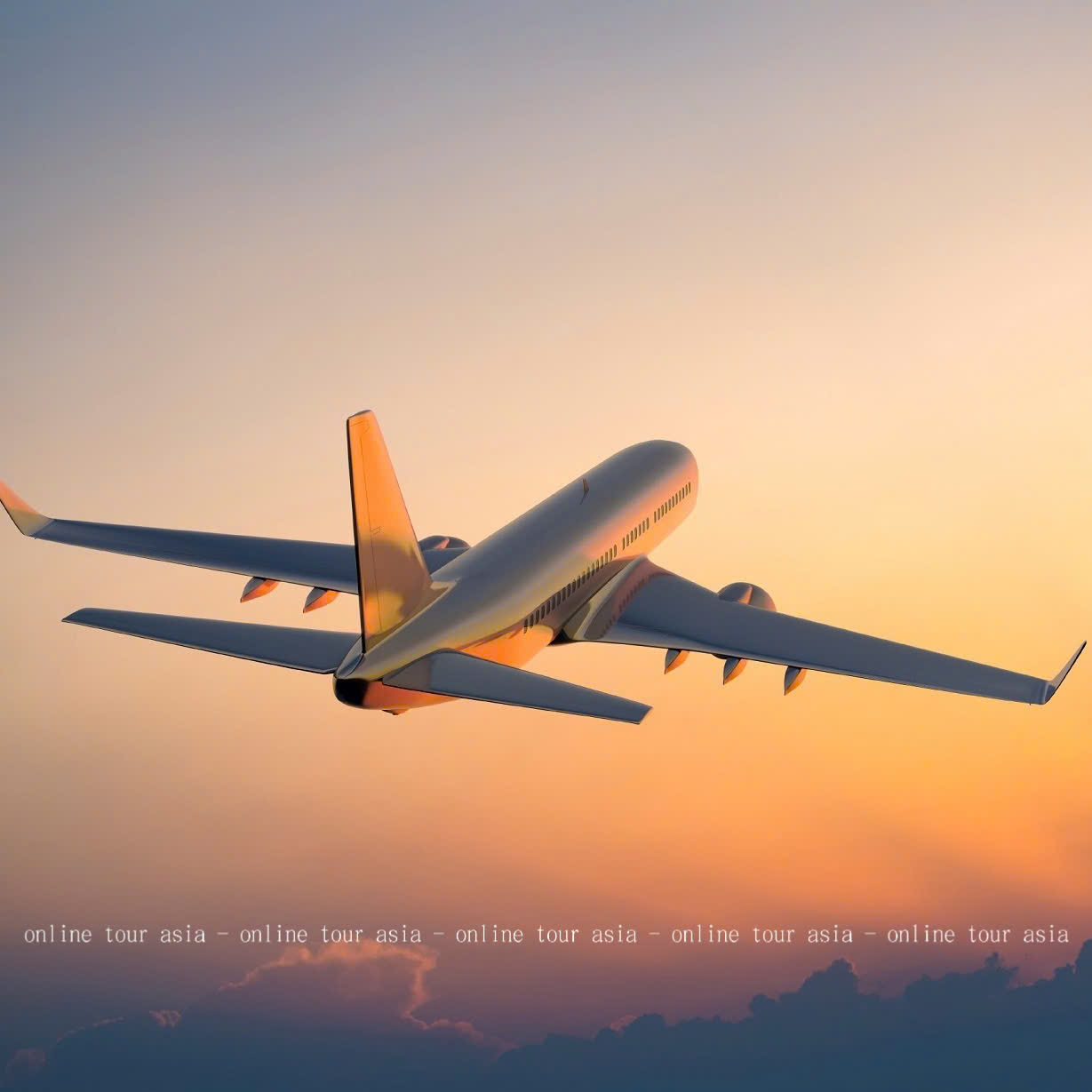 Dịch Vụ Xe Riêng Đưa Đón Sân Bay Cam Ranh - Nha Trang - Ảnh 8